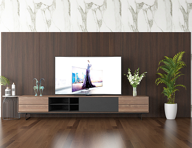 Modern TV Cabinet 3d model