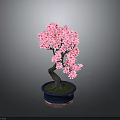 Pink Flowering Bonsai Tree with Curved Trunk in Blue Pot on Gray Background
