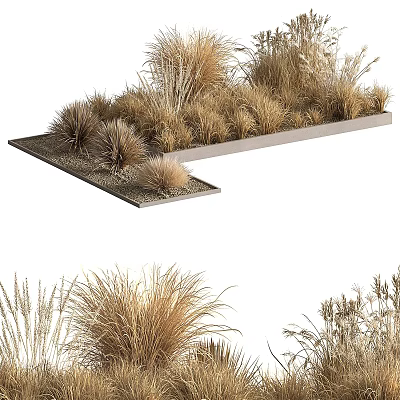 Tree Pit Landscaping Design With Various Ornamental Grasses And Concrete Border 3d model