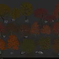Colorful Arbor Trees With Yellow Red Green Leaves And Decorative Stones