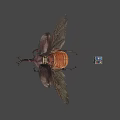 3D Render Of Large Horned Beetle With Spread Wings And Colorful Cube