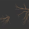 Brown Tree Branches With Thin Twigs On White Background And Reflections 3d model