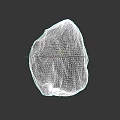 Micro Terrain 3D Model Featuring Rough Surface And Irregular Black Texture