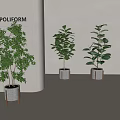 Lush Indoor Potted Plants with Gray Pots and Wooden Stands in Modern Interior