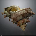 Conch Animal With Spiky Shell Textured Surface And Yellowish Brown Reddish Color
