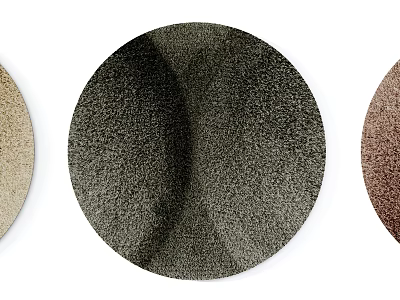 Round Rugs with Beige Dark Gray Brown Color Options for Home Decor 3d model