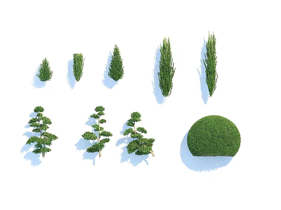 Various Ornamental Shrubs with Different Shapes for Garden Landscaping Design Projects 3d model
