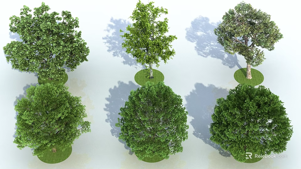 Lush Green Trees with Leafy Canopies Planted on Circular Grass Patches and Shadows 3d model 