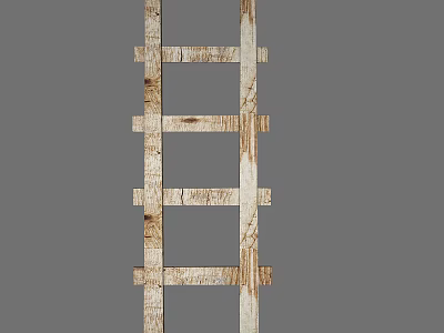 Rustic Wooden Ladder Shelf Ideal for Home Decorative Storage and 3d model