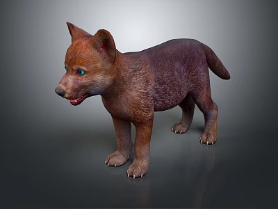 Cute Brown Baby Wolf With Bright Blue Eyes Standing On Gray Surface 3d model