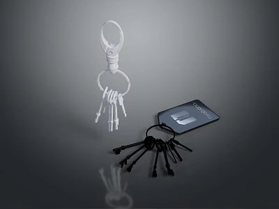Keychain With Skeleton Keys And Mobile Phone On Reflective Dark Surface 3d model