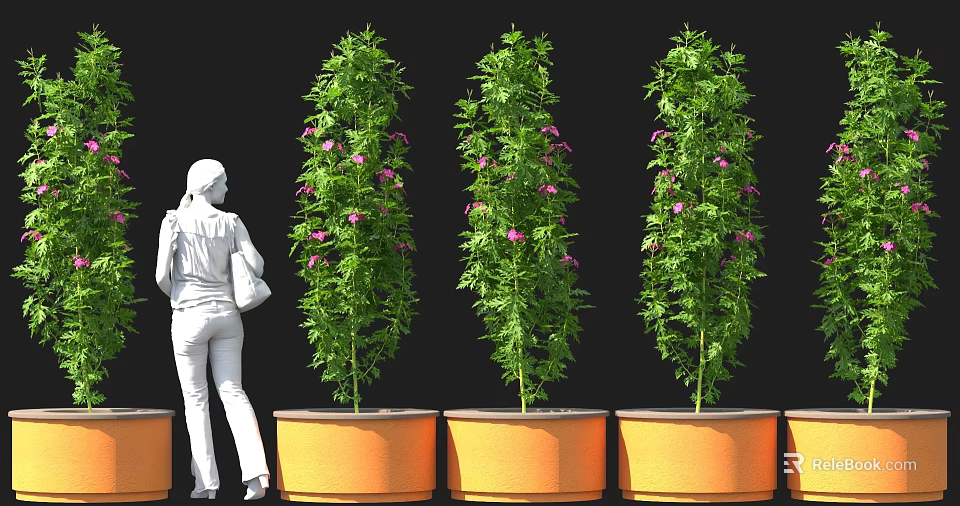 Tall Green Plants With Purple Flowers In Orange Pots For Outdoor Decoration 3d model 