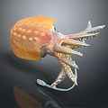 Aquatic Animal 3D Model With Orange Red Spotted Body And Long Tentacles
