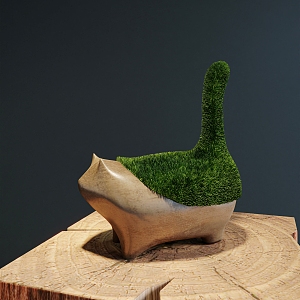 Moss Bonsai 3d model