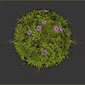 Green Plant Sphere With Grass Purple Flowers And Red Grass Blades