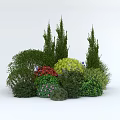 Diverse Shrubs with Red Yellow Flowers and Varied Shapes in Garden