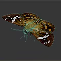 Modern Butterfly Colored Butterfly Tabby Butterfly Leaf Butterfly 3d model