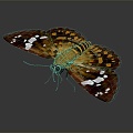 Modern Butterfly Colored Butterfly Tabby Butterfly Leaf Butterfly 3d model