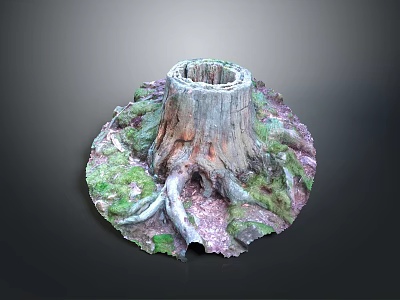 Green and Purple Plants Growing Around Tree Stump with Exposed Roots 3d model