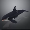 Blue Shiny Orca Marine Animal Model With Open Mouth And Detailed Fins