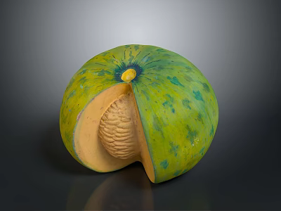 Fresh Cut Open Green Spotted Melon With Orange Flesh And Netted Texture 3d model