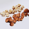 mushroom vegetable 3d model