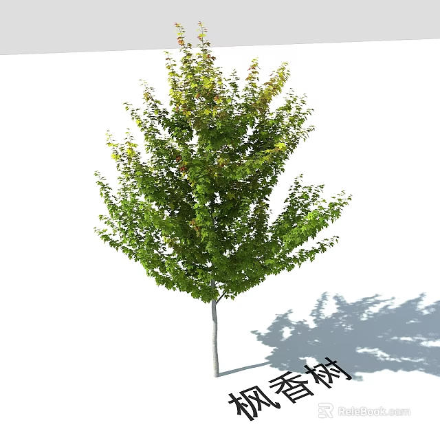 Fragrant Arbor Tree With Green Lush Foliage And Healthy Growth Features 3d model 