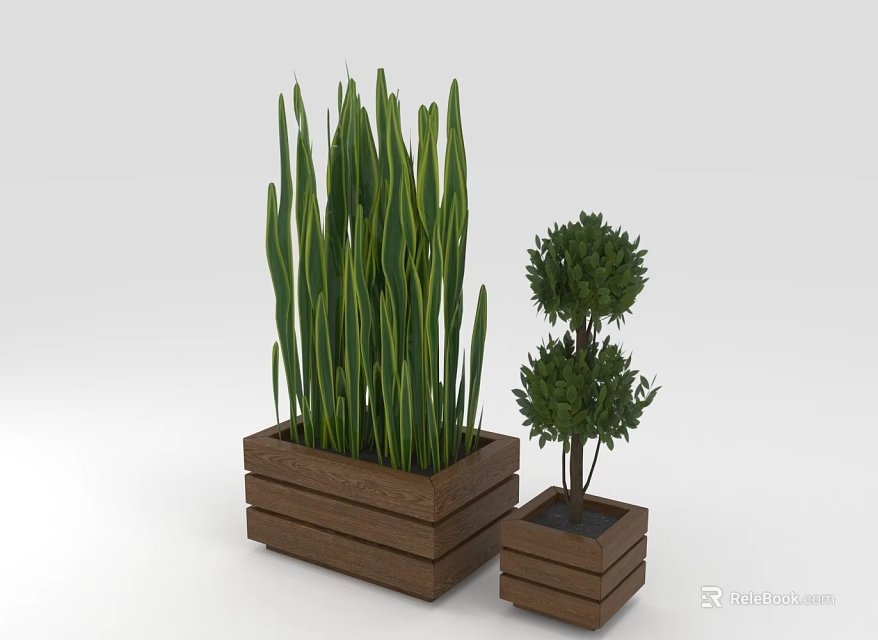 Tall Linear Green Leaf Plants And Two Tiered Spherical Shrubs In Wooden Planters 3d model 