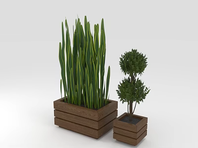 Tall Linear Green Leaf Plants And Two Tiered Spherical Shrubs In Wooden Planters 3d model