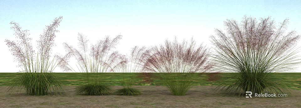 Ornamental Grasses With Purple Plumes And Green Foliage In Grassland Under Clear Sky 3d model 