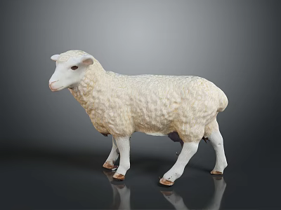 Beautiful White Sheep with Curly Fleece Standing on Gray Background 3d model