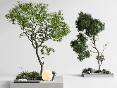 Lush Tall Arbor Potted on Platform with Moon Stones and Green Grass Decoration 3d model