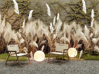 Lush Pampas Grass and Green Vines in Outdoor Scene with Chairs Round Lights and Gravel 3d model