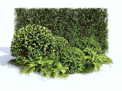 Lush Green Shrubs With Dense Foliage And Diverse Plant Varieties 3d model