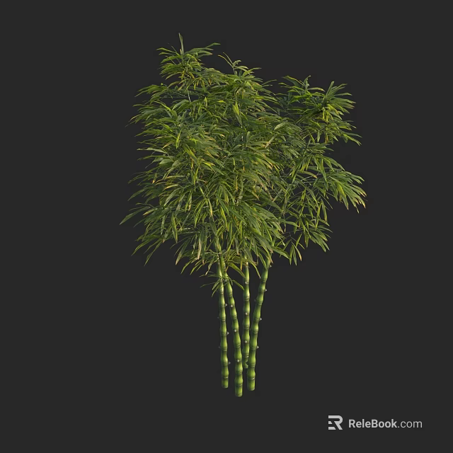 Lush Green Bamboo Plants With Slender Stems And Fresh Leaves 3d model 
