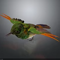 Vibrant Green And Orange Hummingbird With Spread Wings In Flight On Dark Background