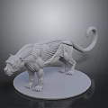 Detailed Leopard Muscle Anatomy Model With Visible Muscular Structure On Circular White Base Educational Sculpture
