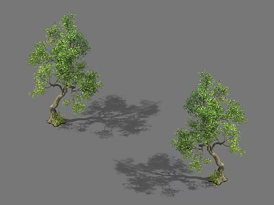 Two Green Leafy Arbors With Curved Trunks And Shadows On Gray Background 3d model