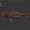 3D Rendered Shark With Open Mouth Sharp Teeth And Streamlined Body On Gray Reflective Background