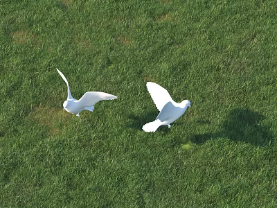 Beautiful White Doves Flying Over Green Grass Field In Nature 3d model