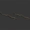 Natural Dried Tree Branches With Curved Shape Roots And Small Branches In Natural State