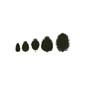 Green Garden Shrubs Landscaping With Different Sizes Round And Pine Like Shapes