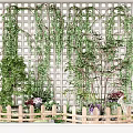 Garden Decor with White Lattice Wall Hanging Vines Wooden Fence Green Plants Purple Pink Flowers