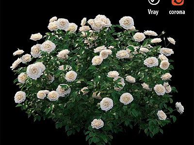 Artificial White Rose Decorative Ornament Set With Green Leaves For Home Decoration 3d model