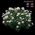 Artificial White Rose Decorative Ornament Set With Green Leaves For Home Decoration