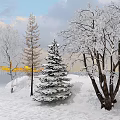 Winter Snowy Landscape With Various Types Of Trees Covered In Snow