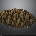 Natural Brown Pine Cone With Detailed Spiral Scales On Dark Background