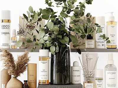 Daily Skincare And Bath Essentials On Organized Shelf With Eucalyptus Plant And Pampas Grass 3d model