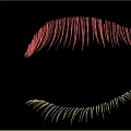 Natural Looking False Eyelashes For Daily Makeup In Cosmetics Collection With Soft Fibers