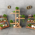Succulent Plants Arranged on Wooden Plant Stands in Modern Indoor Garden